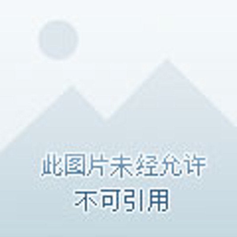 深度解析:如何在众多平台中挑选最合适的机票预订服务